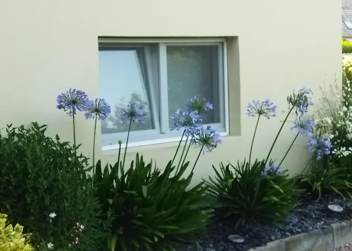 Les Hortensias