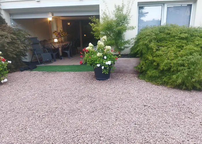 Les Hortensias