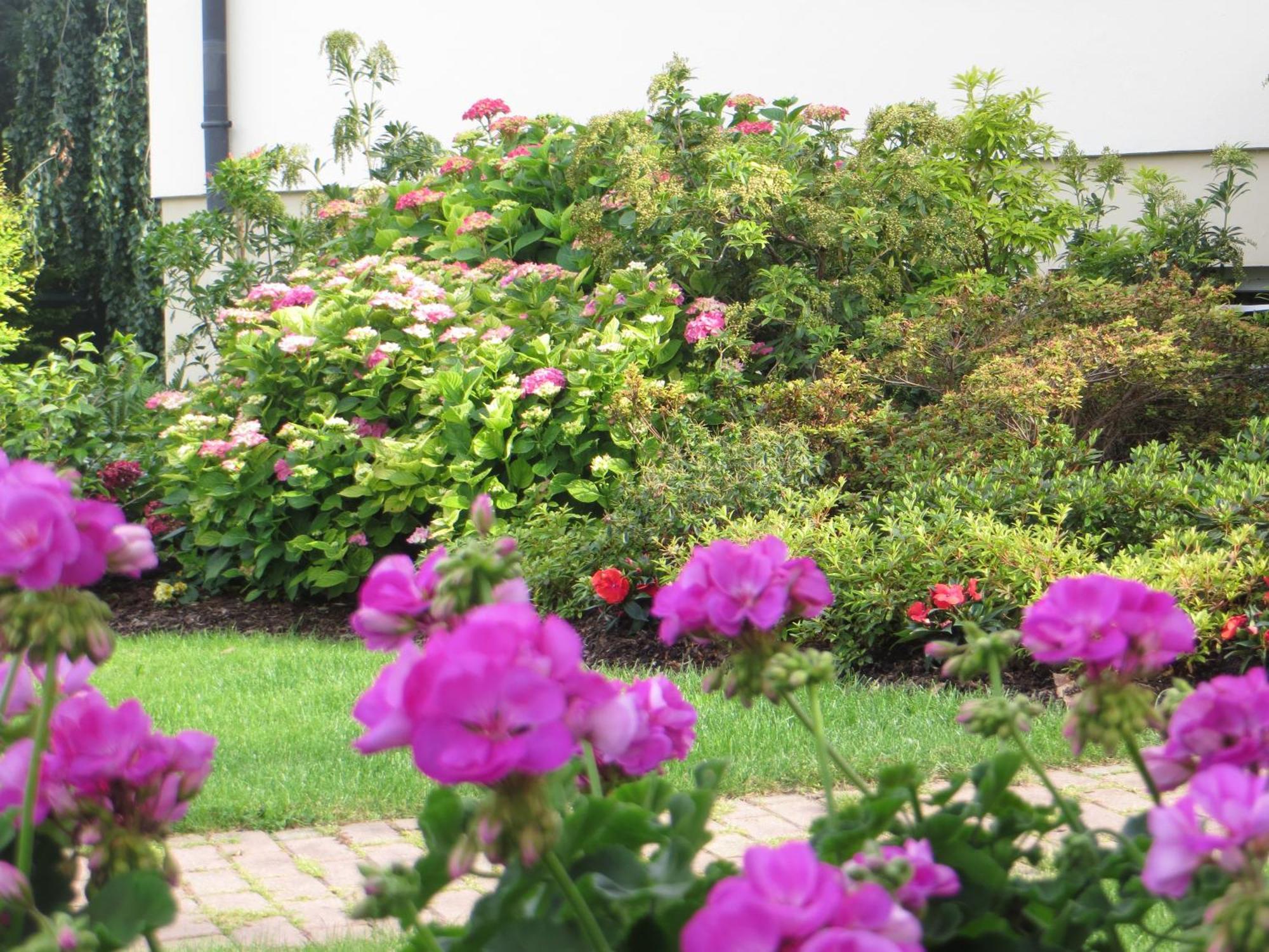 Les Hortensias Séjour chez l'habitant Fortschwihr