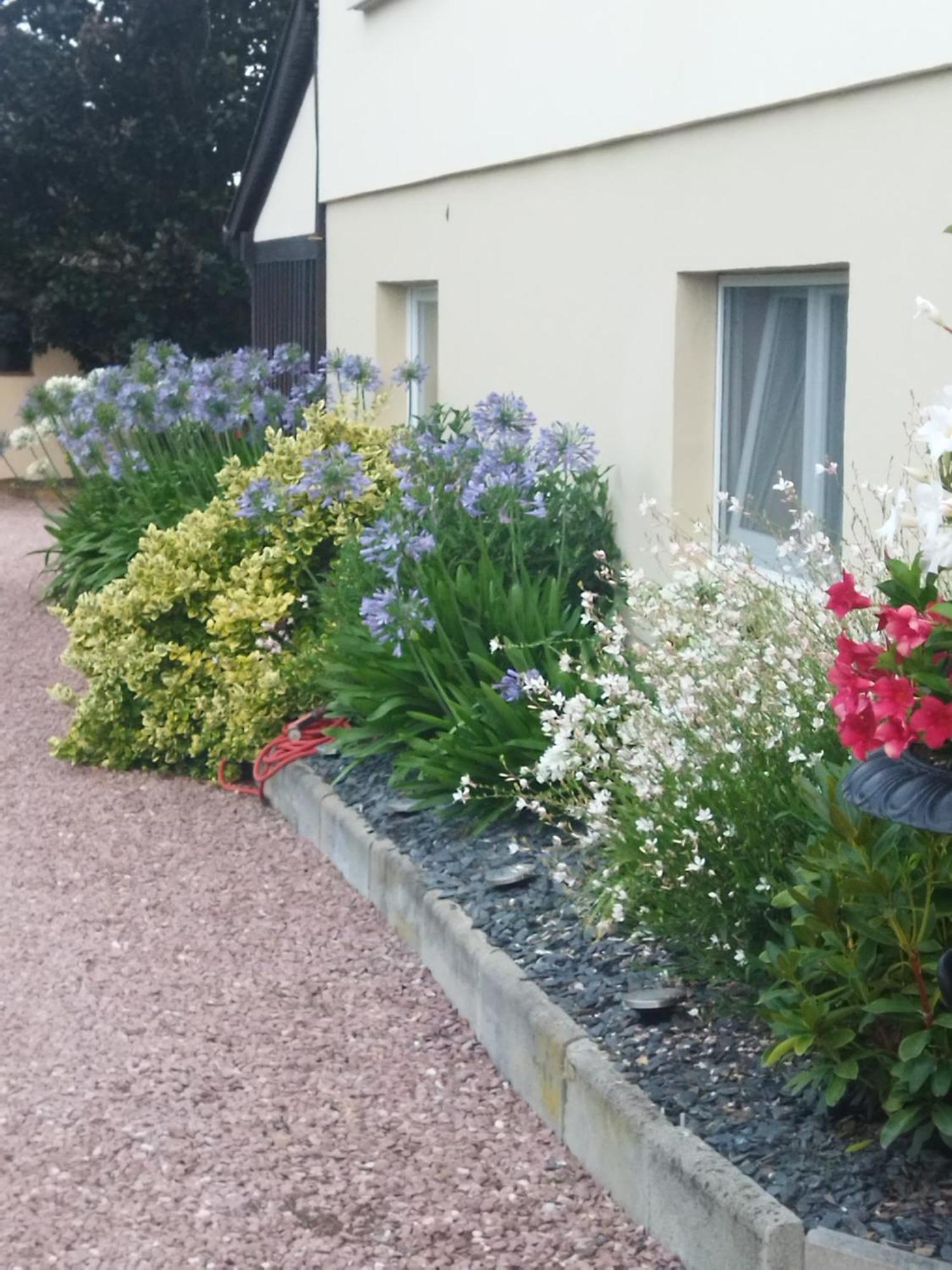 Homestay Les Hortensias *
