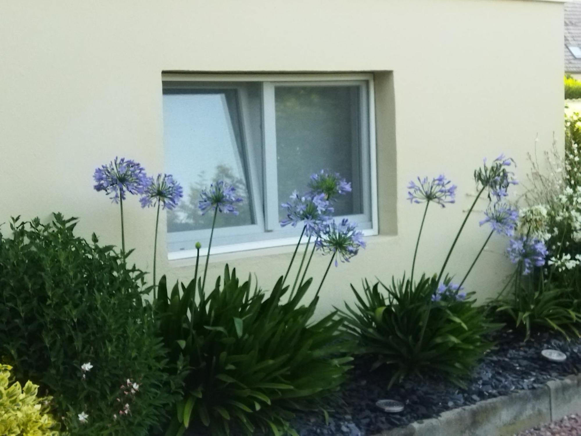 Séjour chez l'habitant Les Hortensias