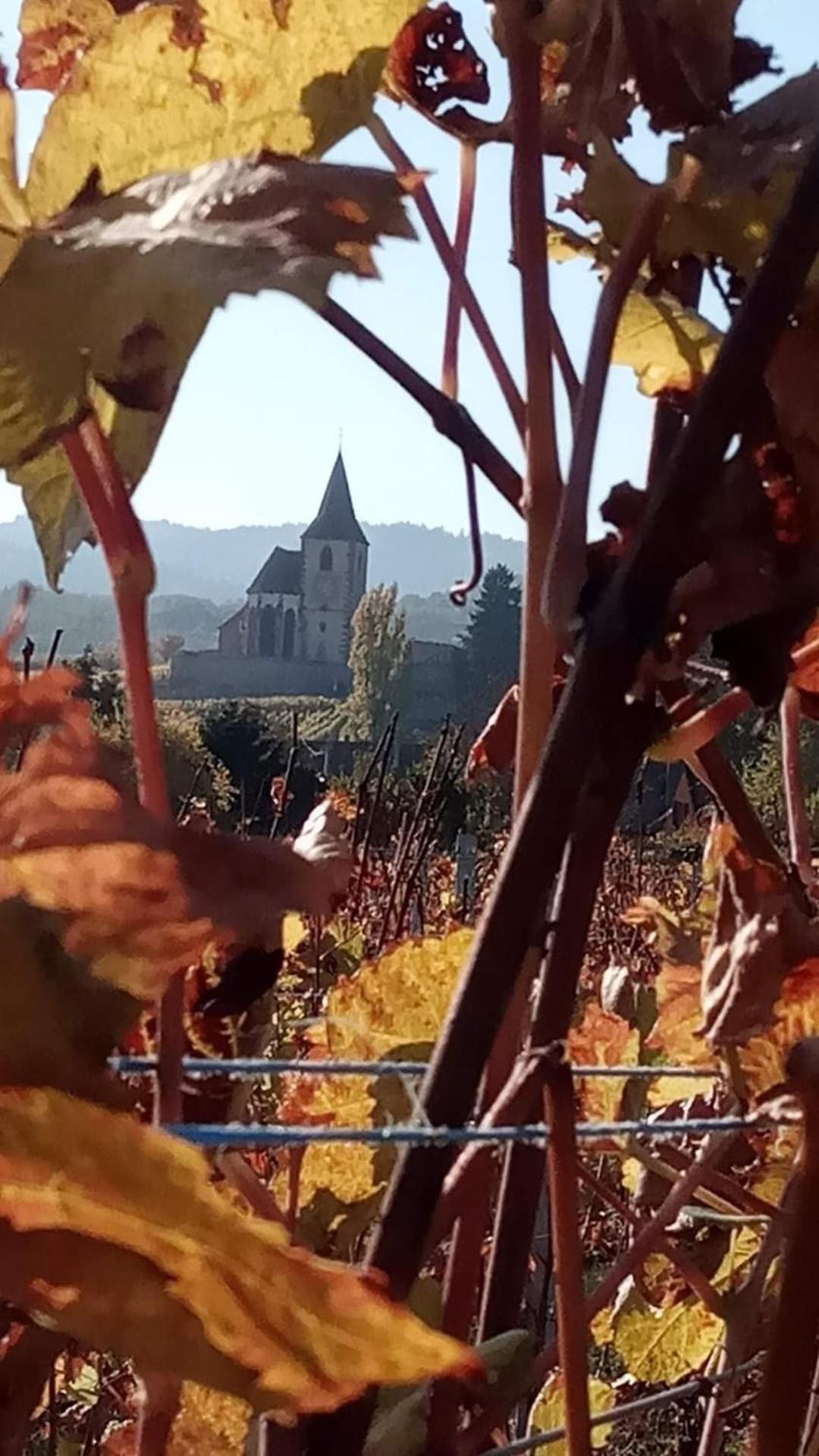 Privatunterkunft Les Hortensias Fortschwihr